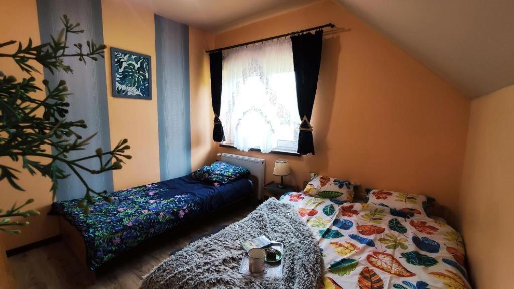 Pilsko Apartment